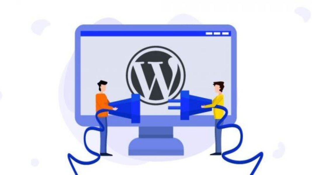 Wordpress Plugin Development